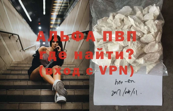 крисы Абаза