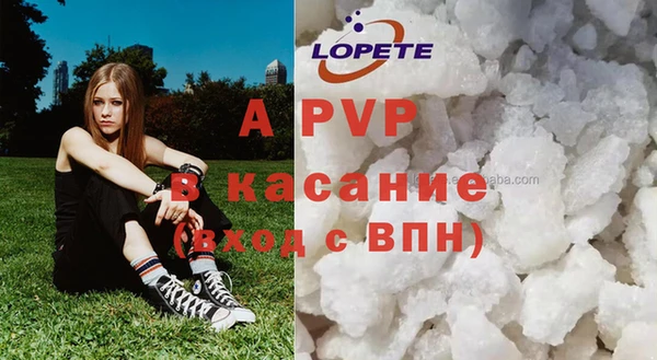крисы Абаза