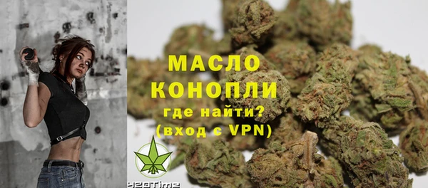 крисы Абаза