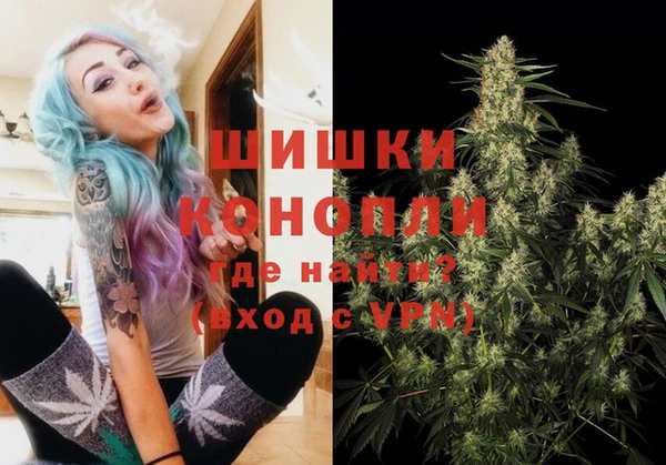крисы Абдулино